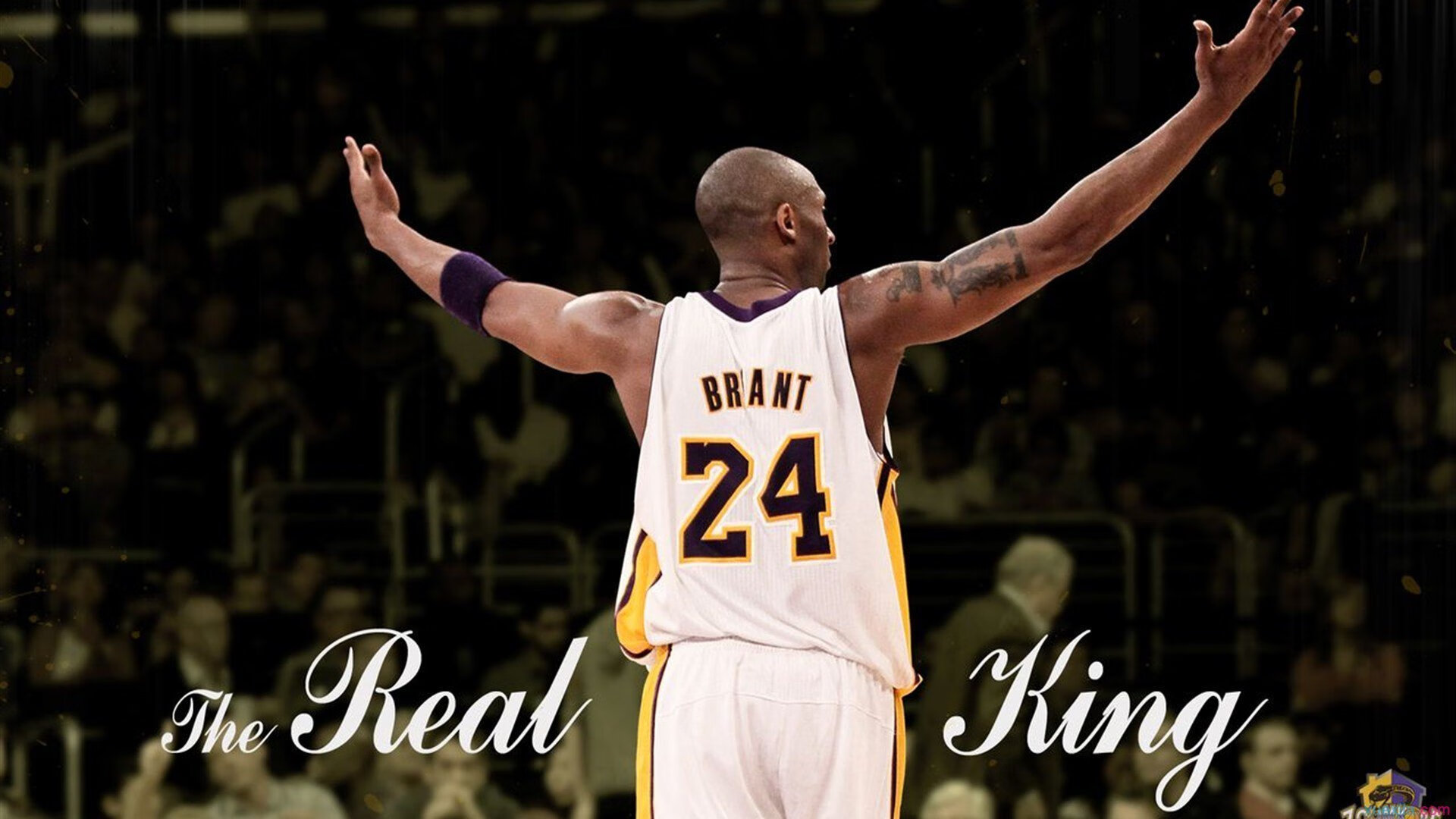 赛道与球场，米切尔的F1揭幕战统治与广东队的末节风暴